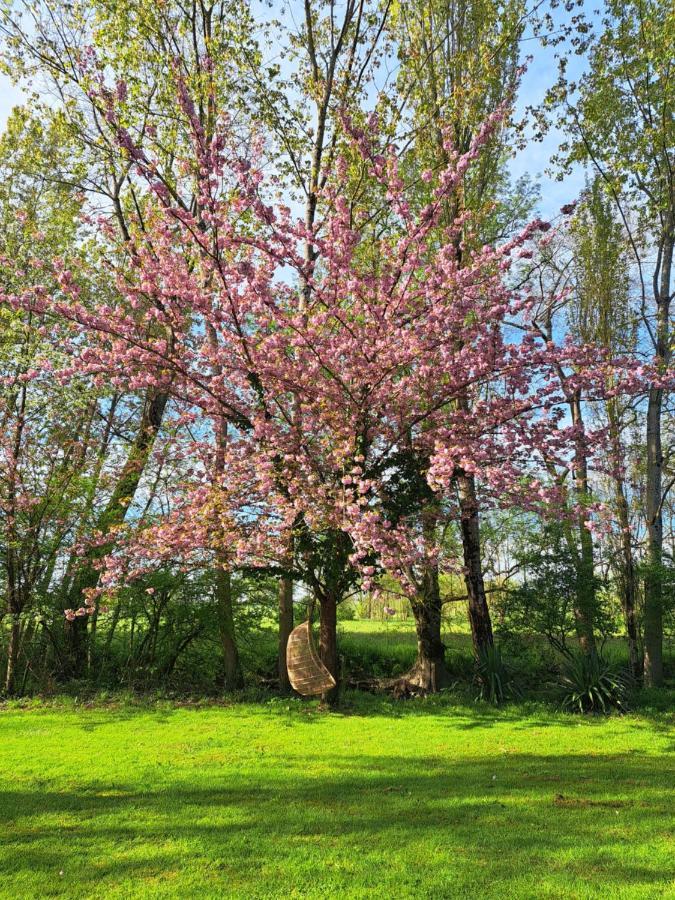 Le Moulin Etourneau - 3 Gites Avec 2 Piscines Champagnac  Exteriér fotografie