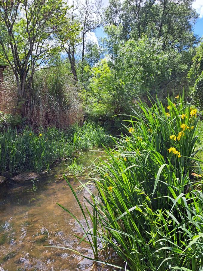 Le Moulin Etourneau - 3 Gites Avec 2 Piscines Champagnac  Exteriér fotografie